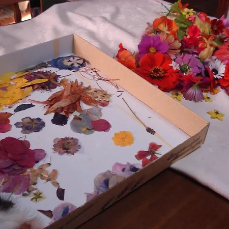 Caserio Maribel Country house Apricano