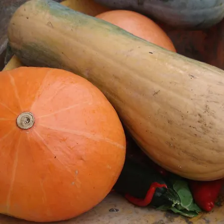 Caserio Maribel Country house