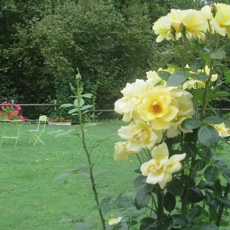 Caserío Maribel Apricano